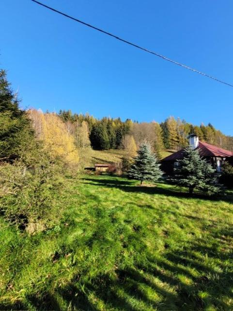 Patysiowka Villa Stronie Śląskie Eksteriør bilde