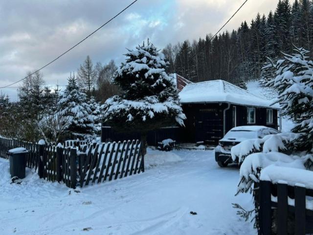 Patysiowka Villa Stronie Śląskie Eksteriør bilde